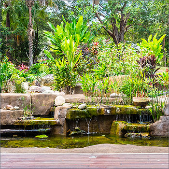 Water feature