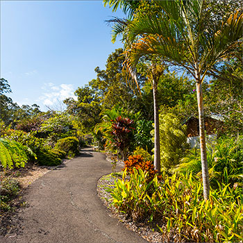 Path to the hall
