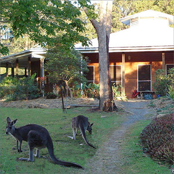 Meditation hall