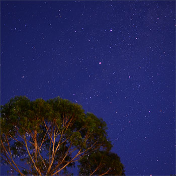 Night sky
