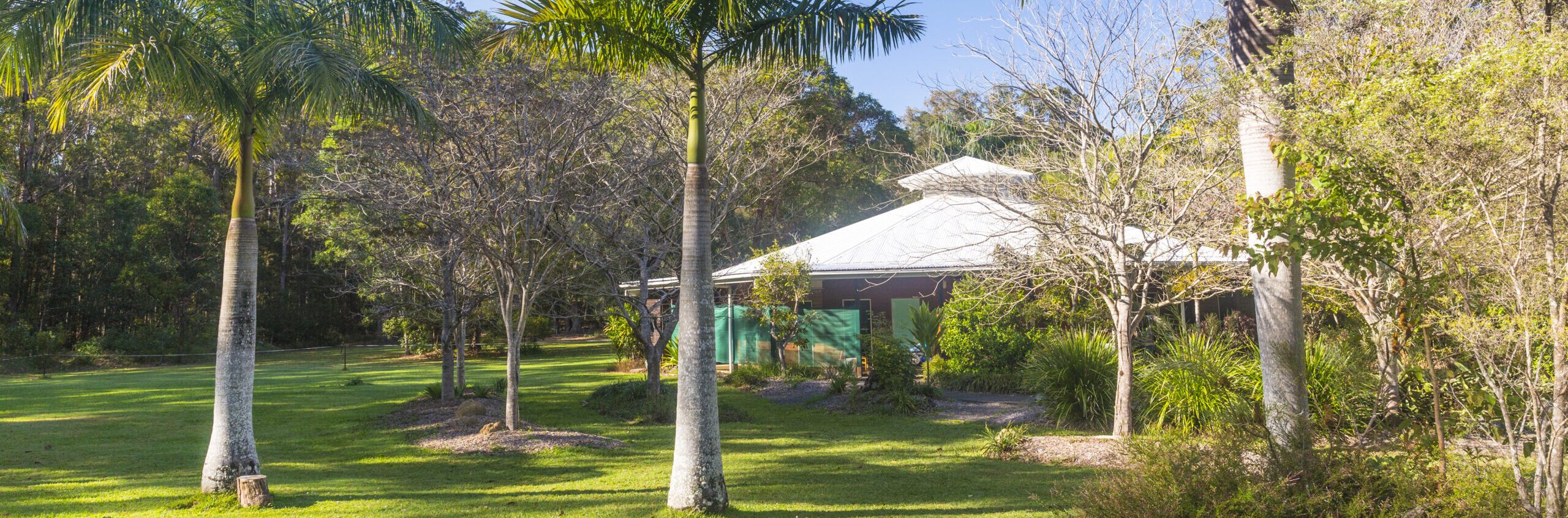 Dhamma Pabha compound